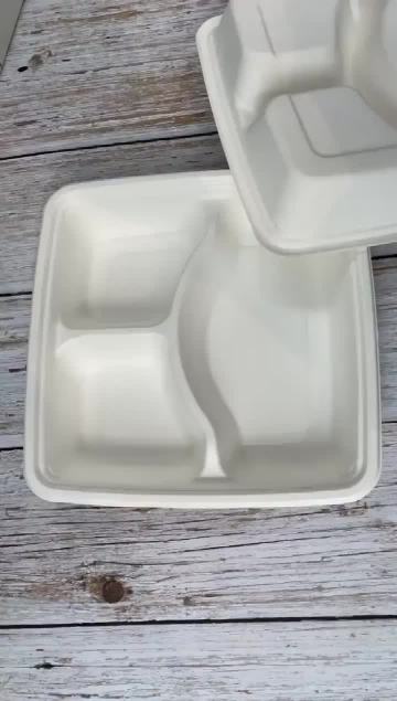 sugarcane 9 inches tray