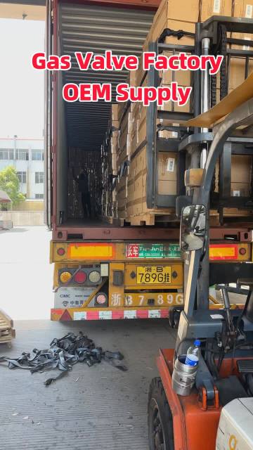 Safe gas regulating fittings support global heating business cooperation