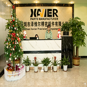 Shenzhen Xavier component company limited