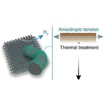 Carbon fiber fabric electrocatalyst enhances green hydrogen production