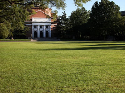 Marcas chinesas impulsionam a revolução global dos cortadores de grama: modelos inteligentes e ecológicos remodelam a indústria