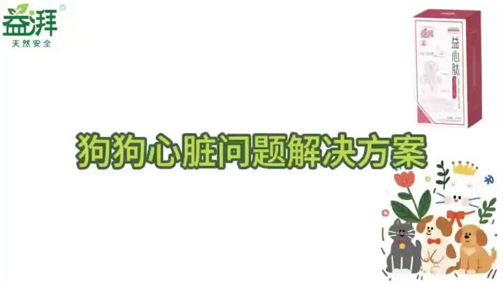 Suplementos del sistema cardíaco para perros domésticos
