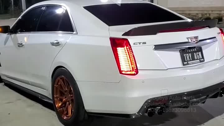 2008 CTS 테일 라이트