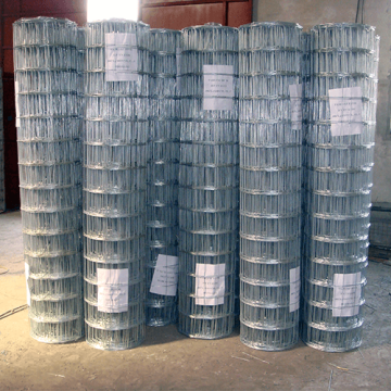 China Top 10 Galvanized Welded Wire Mesh Rolls Potential Enterprises