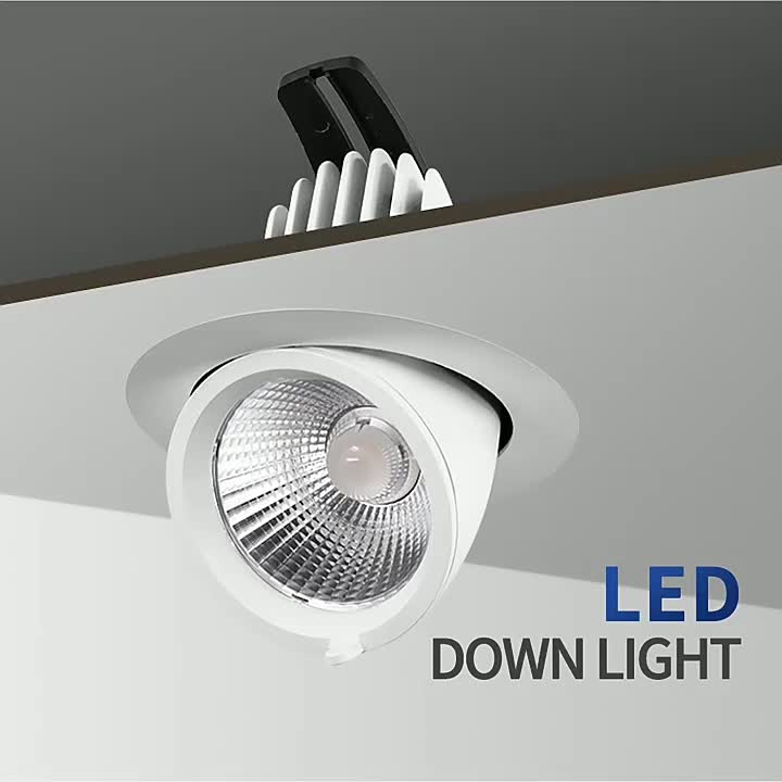 Downlight LED