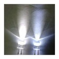 High Brightness White LED Diode 5mm 3.0-3.4V 6000-6500K 1000 Pieces per Bag1
