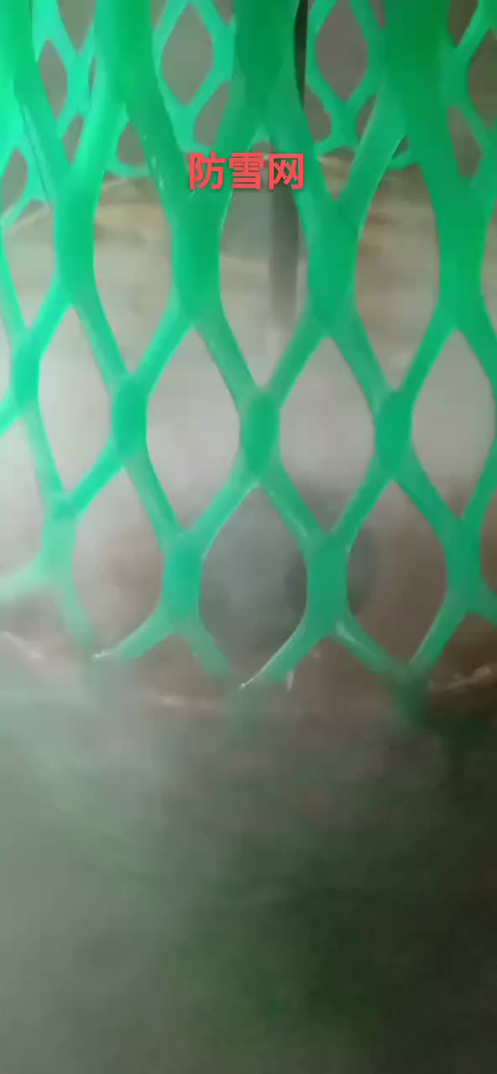 Rede de plástico plano verde 500gsm