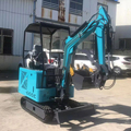 Shanbo 2 Ton Hydraulic Mini Excavator - Cheap Price Agricultural Digger EPA CE Certified1