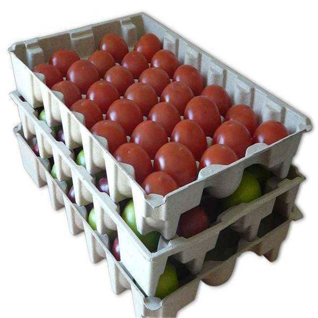 fruit tray machine (9)