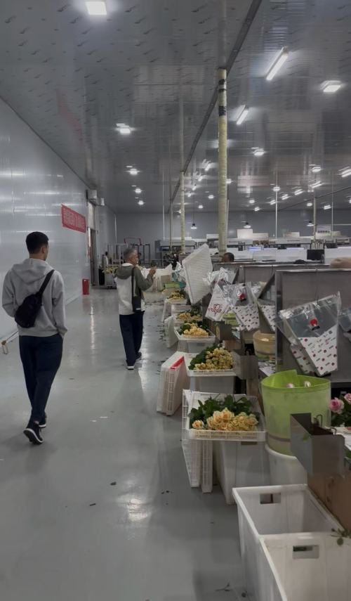 عميل أوزبكستان يزور شركة Yunnan Border Trade Co., Ltd. لاستكشاف التعاون في مجال تصدير الزهور