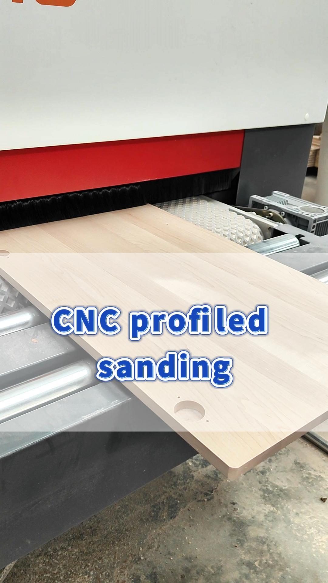 SDS13-Sanding unfinished solid wood door panels