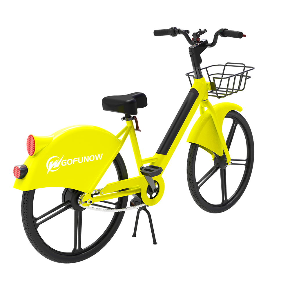 Electric City Cycle (6)