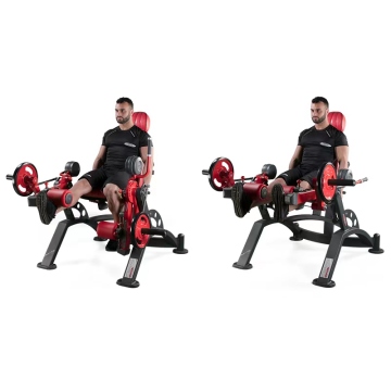 leg curl press machine for the fitness 