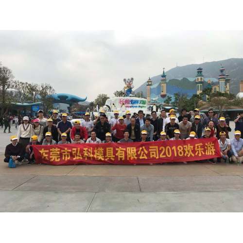 Dongguan Hongke Plastic Precision Mold Co., Limited 2018 Team Building Event