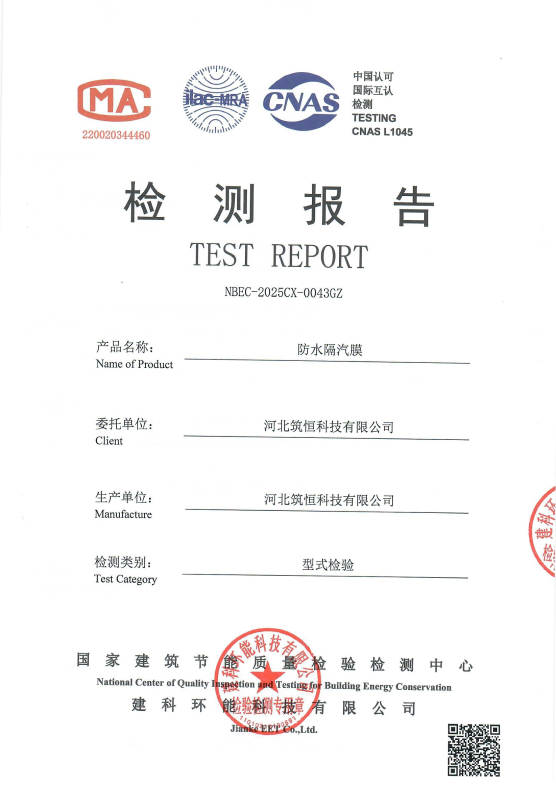 Type Inspection Report--DP-in