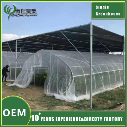 Цяпліца прапануе шмат пераваг