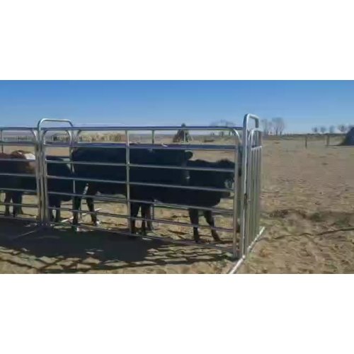 Portable corral panels H-W 12' Corral Gates Economy  horse Panels Chain connectors1