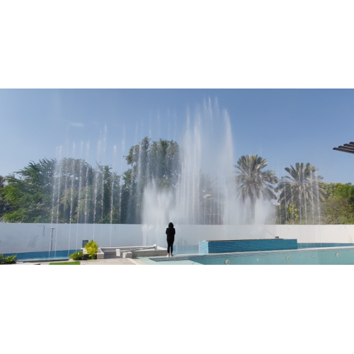 Dancing Water Fountain Project Shows à Dubaï, Émirats arabes unis