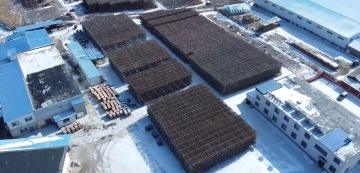 Factory Production Line