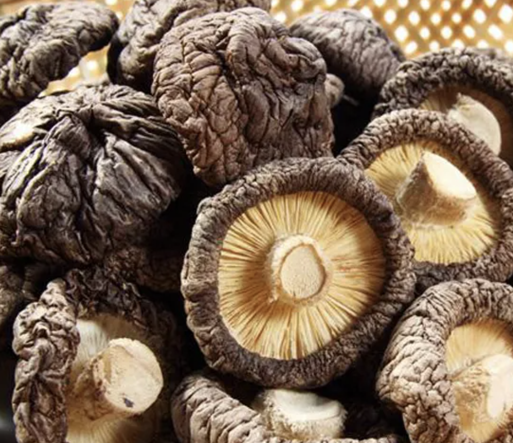 Shiitake -paddestoel van hoge kwaliteit