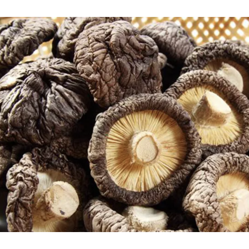 Cogumelo shiitake de alta qualidade