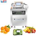 Vegetable Cling Wrap Sealer Automatic Cling Film Wrapping Machine Stretch Film Meat Foods Packaging Machine1