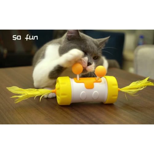 Roda mágica de brinquedos de gato engraçado