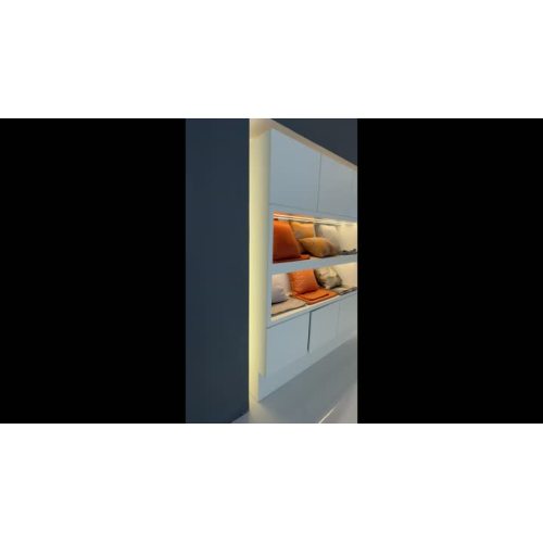 পণ্য প্রদর্শন 7