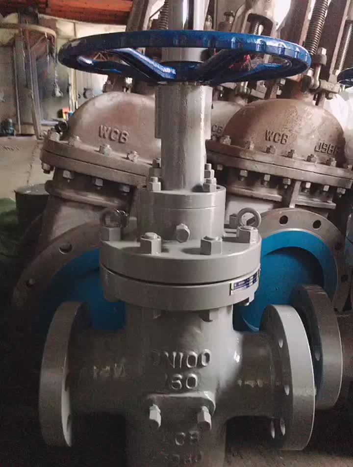 slab gate valve.mp4