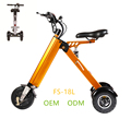 FS-18L three wheels electric bike adult tricycle