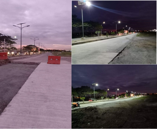 Philippine Solar Street Light Case