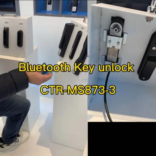 IoT NB 4G High Security Anti-Theft Electroneキーキャビネットロック駐車場ATM1