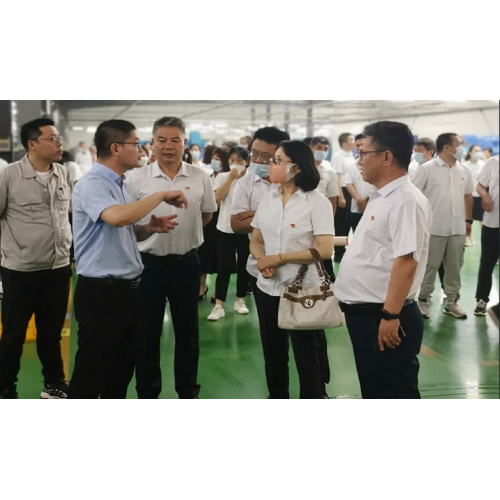 The Party Committee of Fuxin Second Vocational College, together with all Party members and teachers, visited and conducted research in DARE AUTO