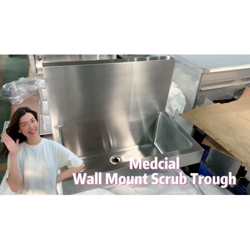 Wall mount scrub sink