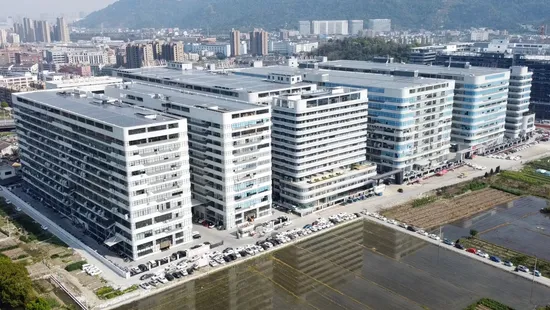 Bread Shoes, Spring and Autumn Women's Shoes, Sports Shoes, Height-Increasing Shoes Versatile Casual Thick-Soled Sneakers1