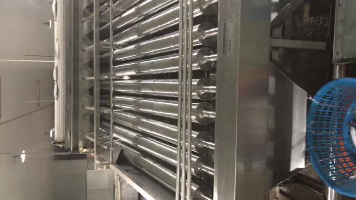 Sardine Grading Machine