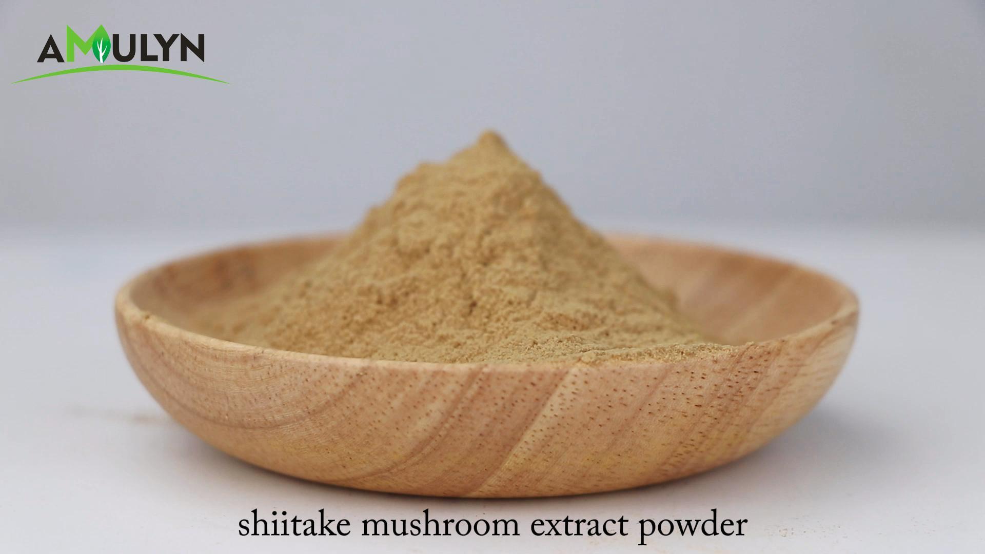 Polvo de extracto de champiñones Shiitake