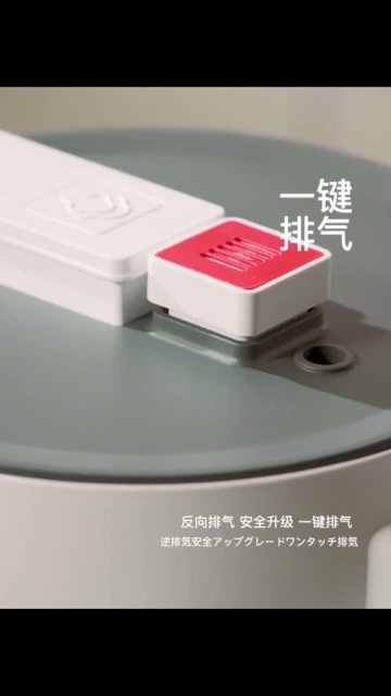 YBW2001 video