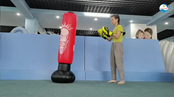 Punch Bag 0313.mp4.