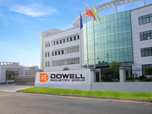 DOWELL  INDUSTRY GROUP LIMITED