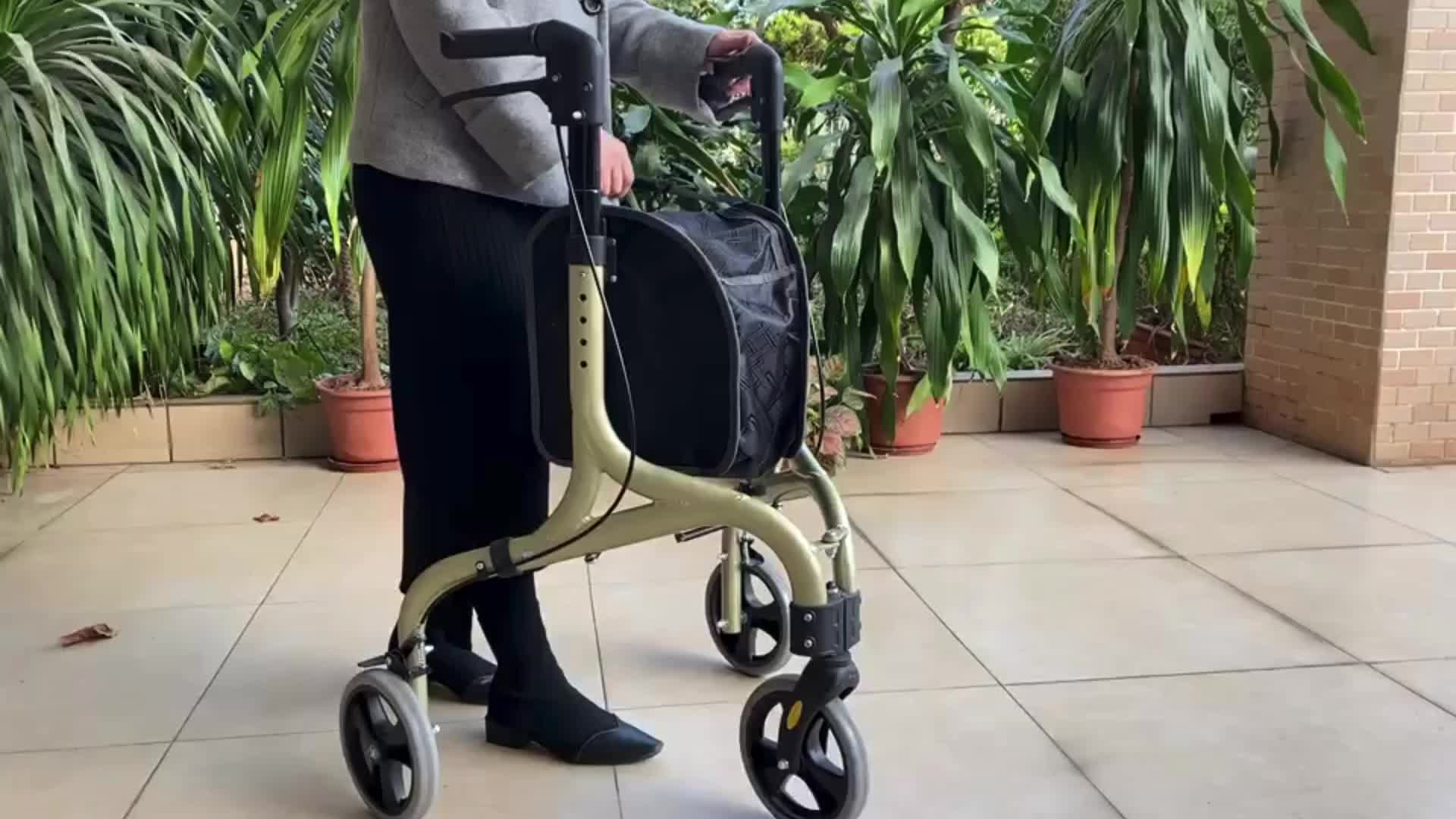 Rollator de marcheur en aluminium de style Euro Lightweight à roues léger pour Disabled1