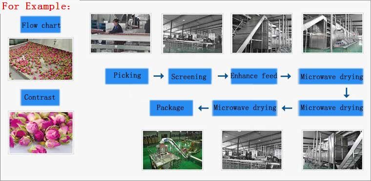 Microwave Microwave drying industrial segment and continue processing line