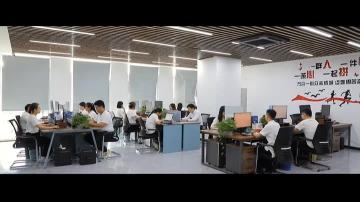Company video