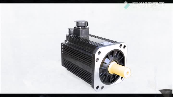 SM-110A 2servomotor_pro