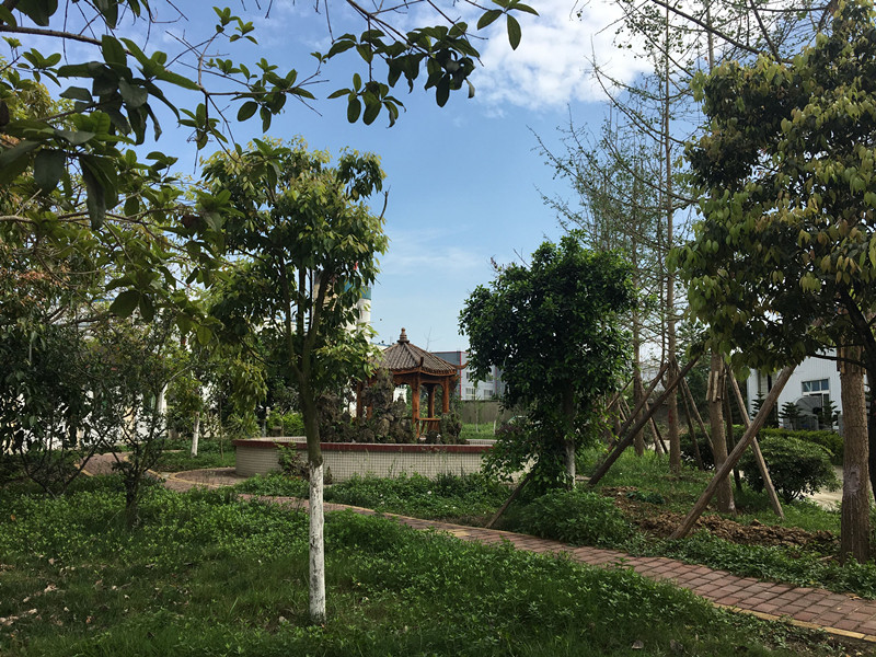 Guanghan Longrun Science and Trade Technology Trade Co., Ltd.