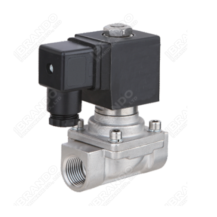 1 Stainless Steel Steam Solenoid Valve - 24VAC, 12VDC, 110VAC, 24VDC