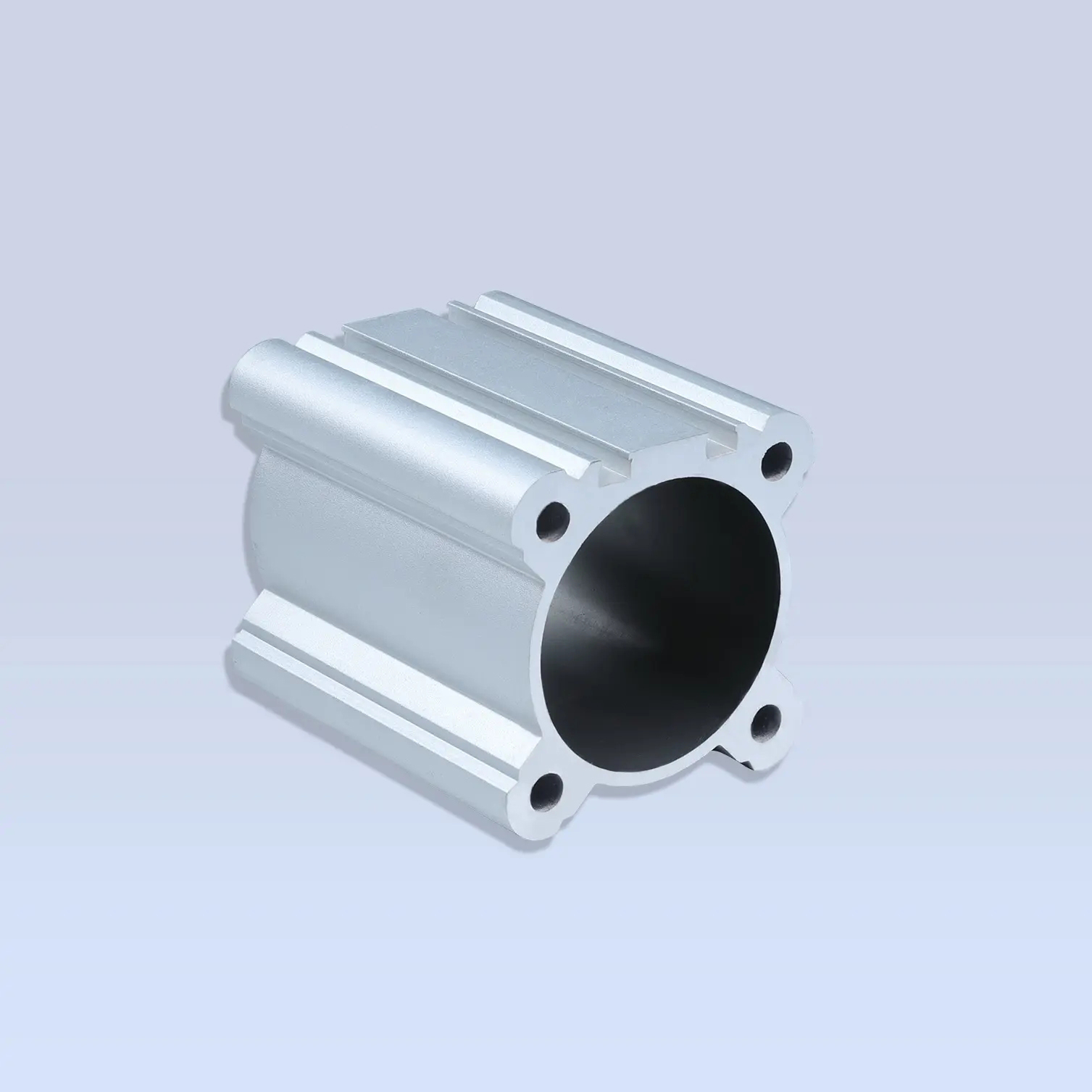 Baril de cylindre pneumatique DSBC 1
