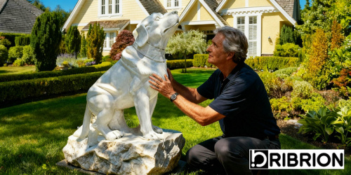 A Cherished Companion Immortalised in Stone: A Touching Custom Pet Memorial