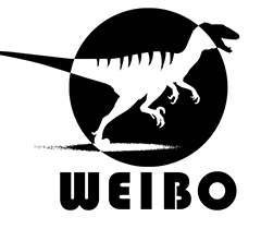 Zigong Weibo Culture and Art Co., Ltd.