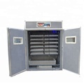 Best Egg Incubator Machines for Hatching Chicks1